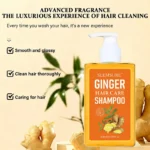 Ginger Shampoo Hair Growth Scalp Care See Hbzufy3b 3